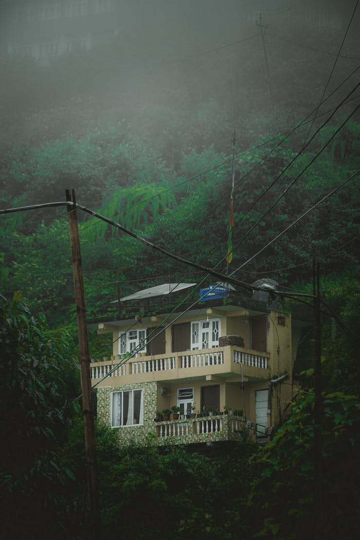 Quaint house nestled in a foggy mountain landscape, surrounded by dense green foliage.